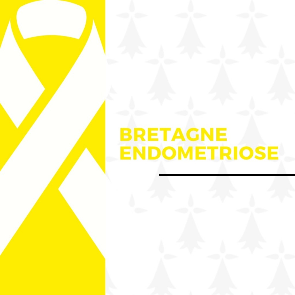 Logo Bretagne Endometriose