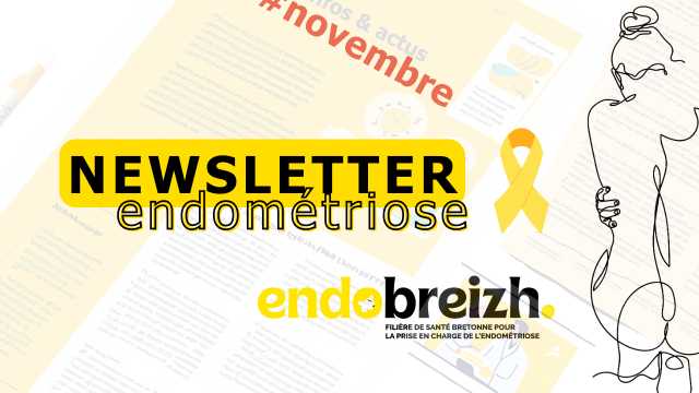 Newsletter #novembre